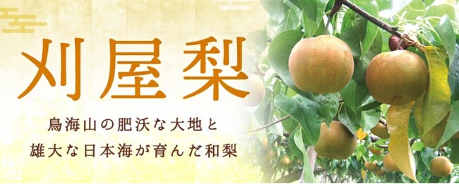庄内観光物産館の通販サイト（楽天市場店・Yahoo店）では、刈屋梨通販の予約受付を開始。