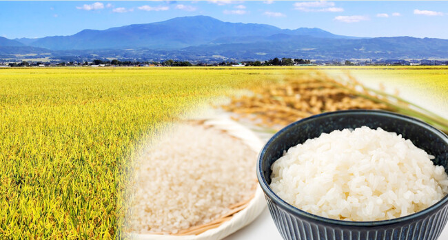 日本有数の米どころでもある山形県の新米をお届け