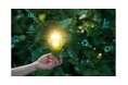 オートファジーによる世界的コンペティション参加の取組みをUHA味覚糖の研究成果を詰め込んだ製品でサポート