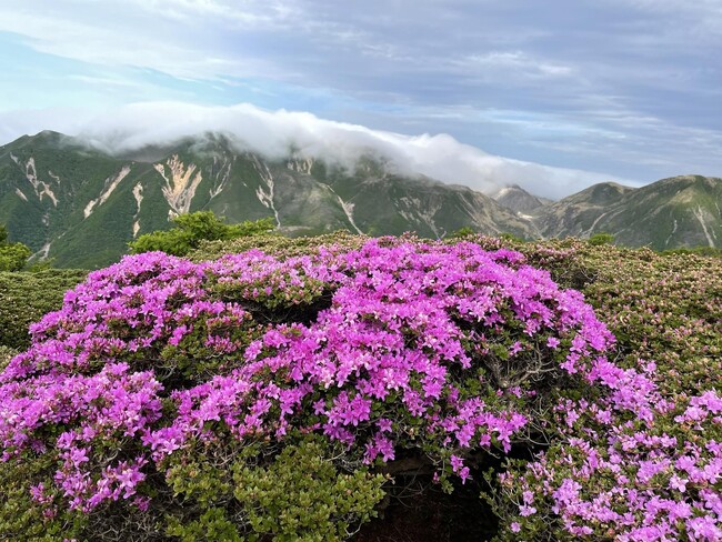 くじゅう連山・ミヤマキリシマと三俣山