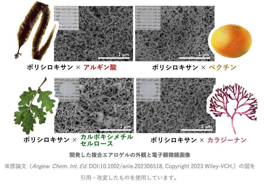 ホロキサンのリーフレット