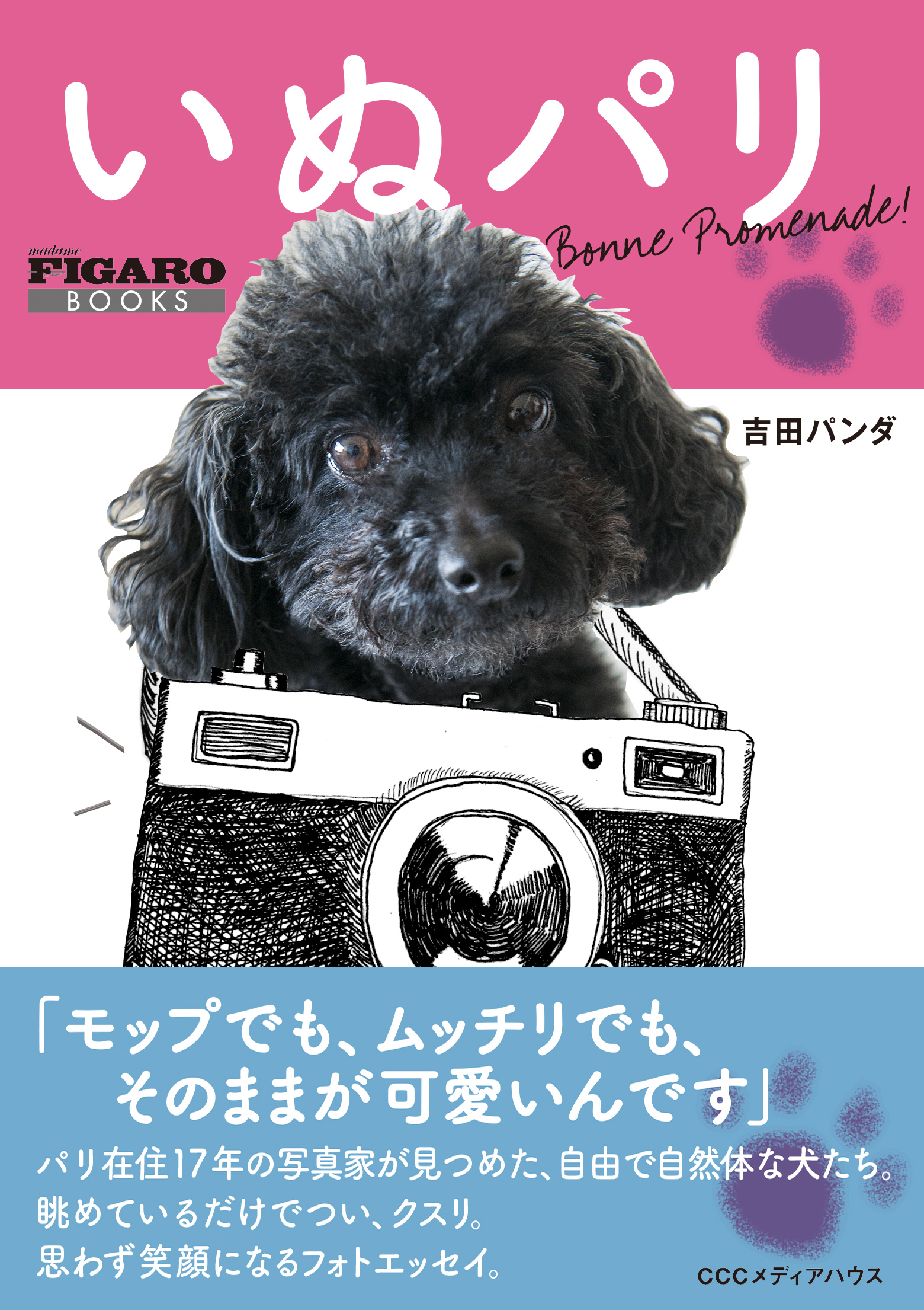 Figaro Jpの人気連載 いぬパリ が書籍になりました いぬパリ 発売 Cccメディアハウスのプレスリリース