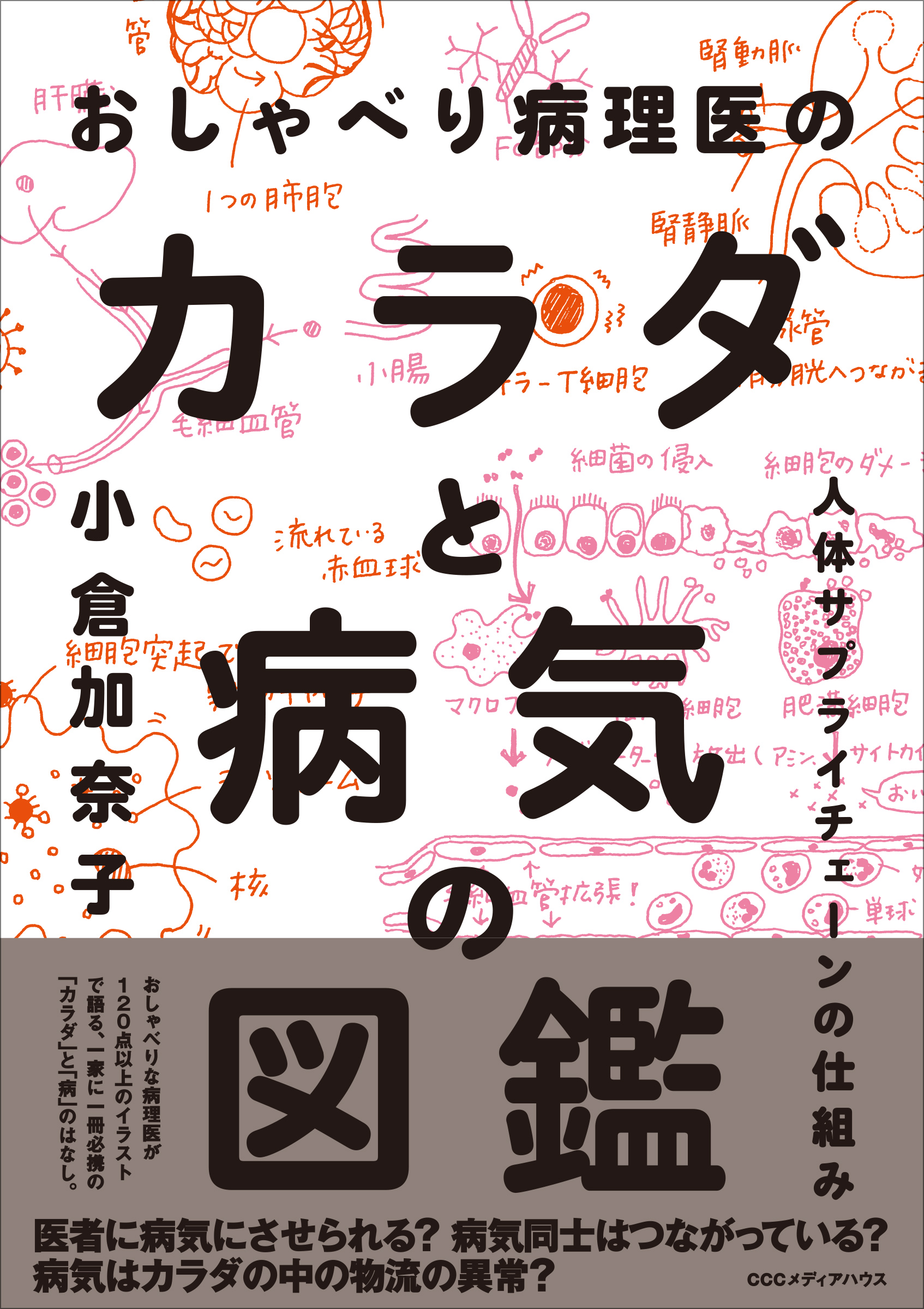 病理専門医にしてイシス編集学校師範の著者が挑む わかりやすすぎる医学書 おしゃべり病理医のカラダと病気の図鑑 人体サプライチェーンの仕組み 発売 株式会社ｃｃｃメディアハウスのプレスリリース