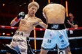 日本ボクシング界の歴史に残る奇跡の一戦！東京ドーム開催「世界タイトルマッチ 井上尚弥vs中谷潤人」
