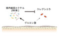 【慶應義塾】腸内常在細菌叢を用いた薬剤耐性菌・炎症性腸疾患の新規治療