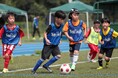 【秋の入会キャンペーン開催】亀山市のサッカースクールで幼児・小学生の新規会員を募集中