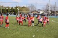 幼児から小学生に大人気の「亀山市サッカースクール」が春の入会キャンペーンを開催