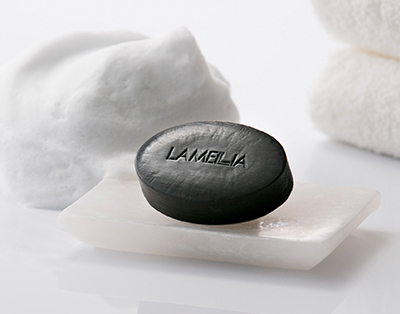 株式会社 LAMELLIAJAPAN