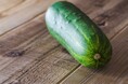 伝統の加賀野菜をご自宅で！楽天市場「かいものパレット」にて、みずみずしく肉厚な「加賀太きゅうり」の販売を開始！石川の味覚を全国へお届け