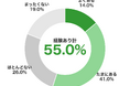 EC利用者の55.0%が、送料無料・割引条件のために「買う予定のなかった商品」を追加購入　そのうち62.6%が「買わなくてもよかった」──頻繁にする人は約9割が後悔