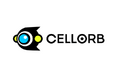 eスポーツ企業CELLORB、世界へ挑む新体制。新たなミッションと新経営体制を発表