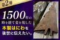 1500年の時を経て姿を現した木製はにわを後世に伝えたい。木製はにわ保存の費用をふるさと納税型クラウドファンディングで募集開始【第二弾】