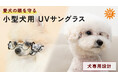 犬のために専用設計された、本気のUVカットサングラスをMakuakeプロジェクトにて先行予約開始