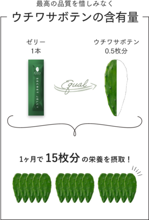 あなた秘密