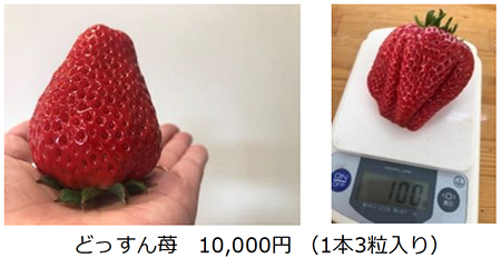 食べてみたいイチゴ1位は 高級イチゴ 日本全国を知り尽くす旅のプロ じゃらん おすすめのお取り寄せイチゴを紹介 株式会社リクルートのプレスリリース
