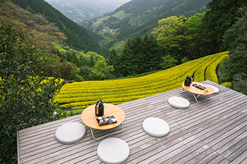 画像：黄金の茶の間