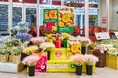 デュメンオレンジ、ヤオコー161店舗で無花粉ガーベラ「フルーツケーキ/ Fruit Cake®」フェアを開催