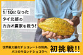 世界最大級のチョコレートの祭典「サロン・デュ・ショコラ2025(パリ)」に初出展。日本生まれ・Night Cacaoがタイの農家と世界の舞台へに向けてクラウドファンディングを開始