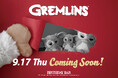 【BIRTHDAY BAR】今年も「GREMLINS」とのコラボレーションアイテムが発売決定！
