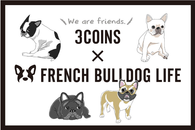 3coins French Bulldog Life コラボアイテム発売決定 株式会社パルグループホールディングスのプレスリリース