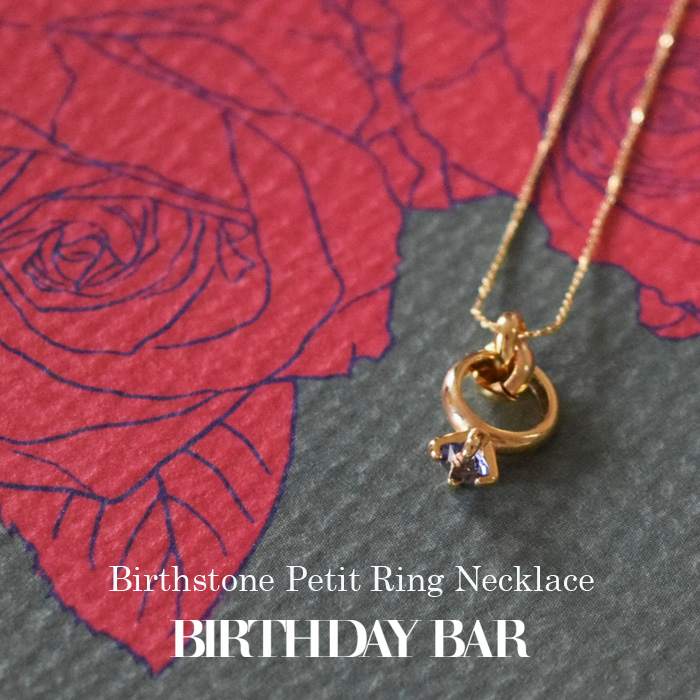 バースデイ バーが気軽にプレゼントできる誕生石ネックレス Birthstone Petit Ring Necklace を発売 株式会社パルグループホールディングスのプレスリリース