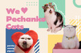 【BIRTHDAY BAR】人気の猫インフルエンサーとのコラボアイテムを発売!