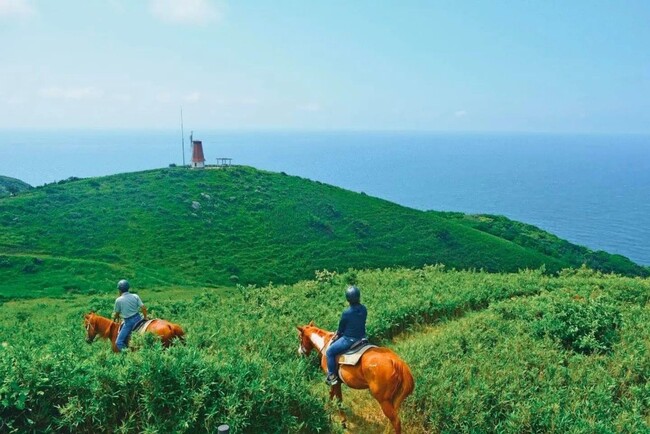 大島の神秘的文化