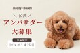 腸活＆口腔ケアドッグフード「Buddy-Buddy（バディバディ）」が【公式アンバサダー（Official Buddy）】の募集を開始