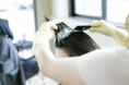 短時間・低価格で髪染めが出来るヘアカラー専門店「カラープラス」が2024年11月27日(水)に京都府宇治市にオープン!全体染め・根元染めが【1,100円】で体験できるオープニングキャンペーン実施!