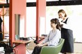短時間・低価格で髪染めが出来るヘアカラー専門店「カラープラス」が2024年12月25日(水)に石川県金沢市にオープン!全体染め・根元染めが【1,100円】で体験できるオープニングキャンペーン実施中!
