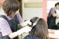 短時間・低価格で髪染めが出来るヘアカラー専門店「カラープラス」が2025年1月30日(木)に愛知県名古屋市にオープン!全体染め・根元染めが【1,100円】で体験できるオープニングキャンペーン実施!