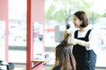 ヘアカラー専門店「カラープラス」が千葉・稲毛に新店オープン！全国80店舗｜2027年3月に100店舗へ