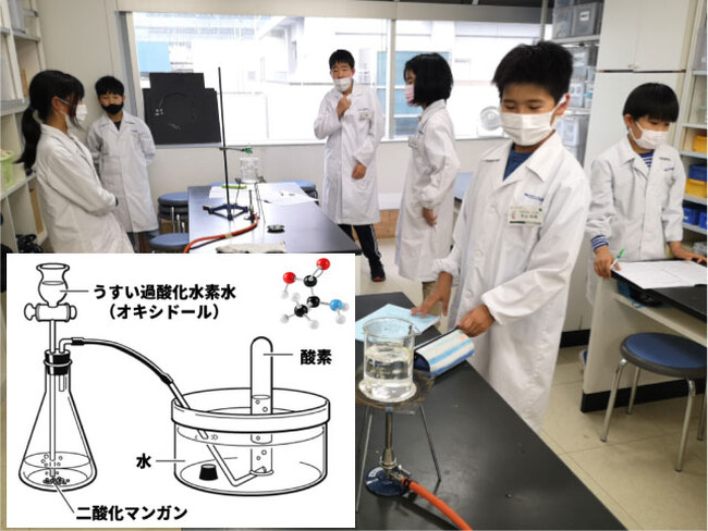 体験することで嫌いを払拭。