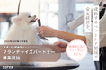創業19年・国内外16店舗のペットサロン「SOPRA」、SOPRA Academyと連携したフランチャイズモデルを開始― 未経験からサロンオーナーを目指せる ―