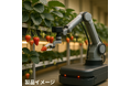 AI認知技術を活用した自動いちご自動受粉・収穫ロボットの開発プロジェクトを開始