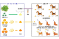 北里大学とエア・ウォーター みかんの皮を用いた老犬の認知症症状改善に関する共同研究成果を発表