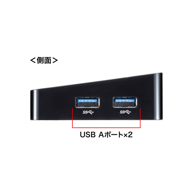 USB-3H1006BK