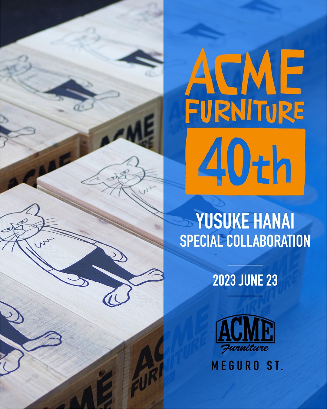 acme furniture 花井祐介 STUFFED CAT with BOX