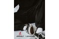 【L'ÉCHOPPE】EX CLASSIC CLIMBING PT