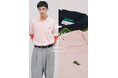 JORNAL STANDARDより、クラシックを今のバランスに編集したLACOSTE別注ポロ＆ボーダーTが発売