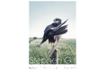 スティーブン・ギルの展覧会『Stephen Gill』が虎ノ門のart cruise galleryで開催
