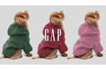 Gap、人気のペットアパレルからGAPロゴフーディーの最新コレクションを7月23日より発売