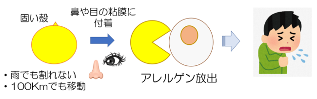実環境不活化評価方法