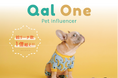 総リーチ数1億越え&高エンゲージメント率の ペットインフルエンサーマーケティング施策 「QAL ONE」の提供を開始