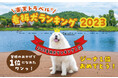 【エンゼルフォレスト白河高原】楽天トラベル主催「看板犬ランキング2023」での全国1位を記念して記念御礼クーポン発行&記念御礼プランを販売いたします!