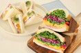 【料理教室|11月開催】食欲・芸術の秋に!60分のサンドイッチ体験レッスン ~断面をアートに魅せる 2種類のアートウィッチ®~