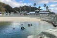 「浪早ビーチ」をダイビング講習水域として試験開放