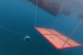 MizLinx、「NEDO Challenge for BLUE ECONOMY」1次コンペティション 部門5 にて優勝