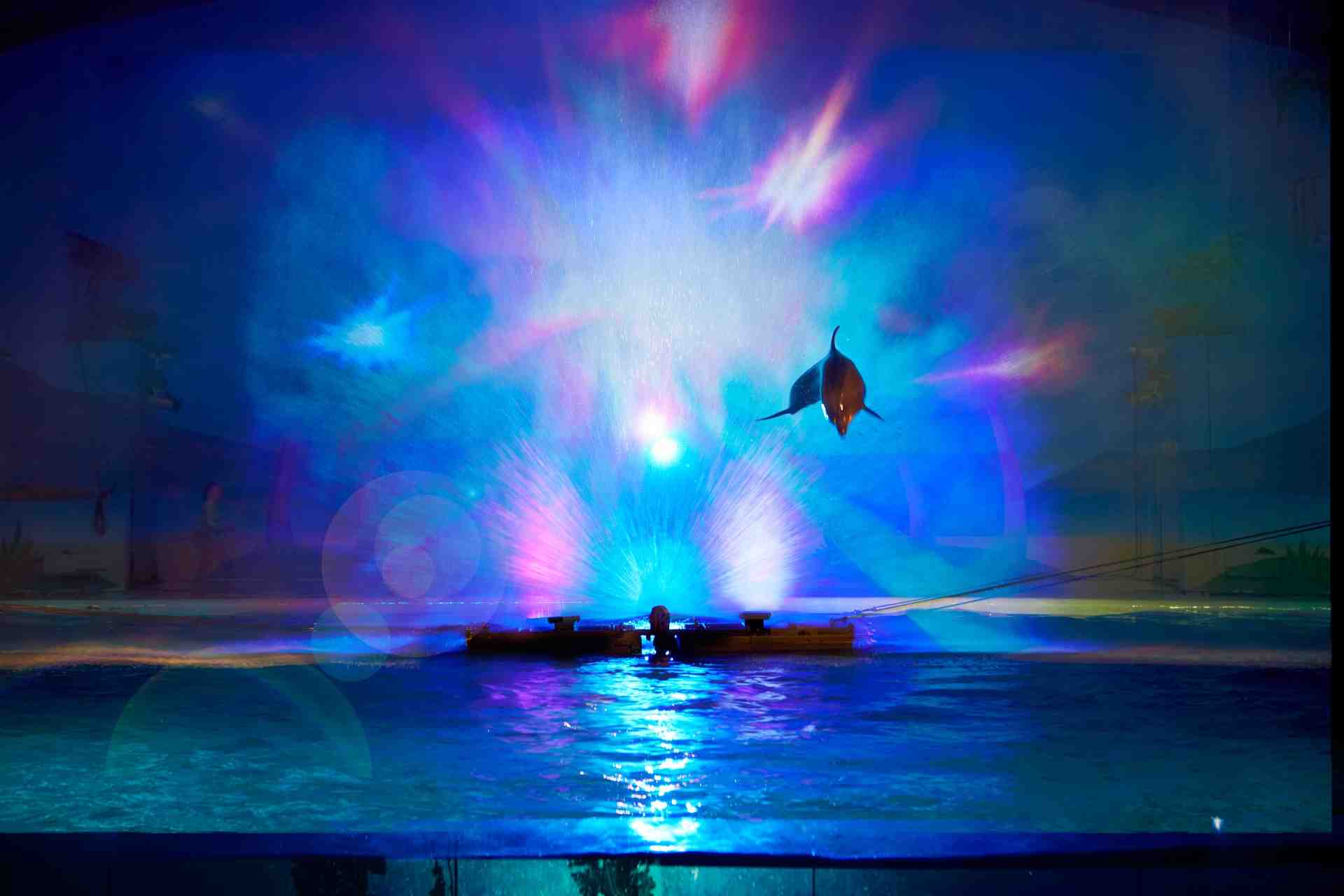 横浜 八景島シーパラダイス 冬の新定番 きらめく海の中でのデート 大好評開催中 クリスマスデートの大本命 株式会社 横浜八景島のプレスリリース