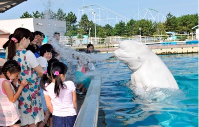 横浜 八景島シーパラダイス 水族館ならではのずぶ濡れイベント スプラッシュタイム 株式会社 横浜八景島のプレスリリース